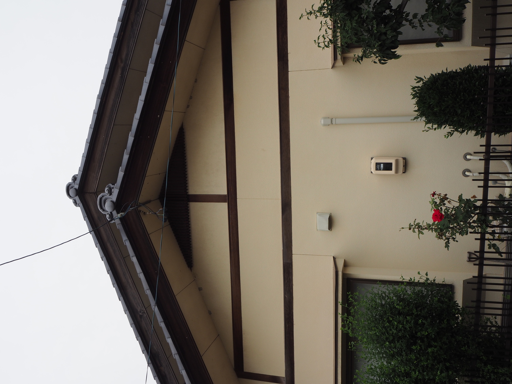 Before画像