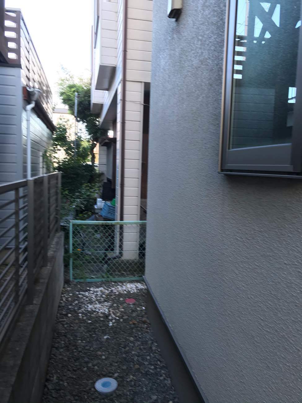 Before画像