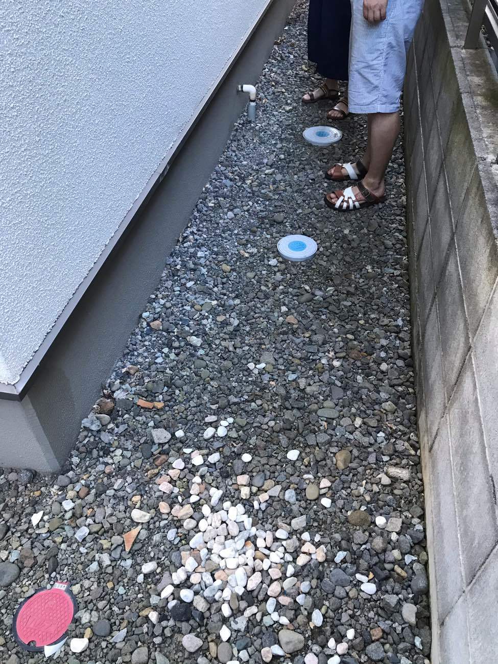 Before画像