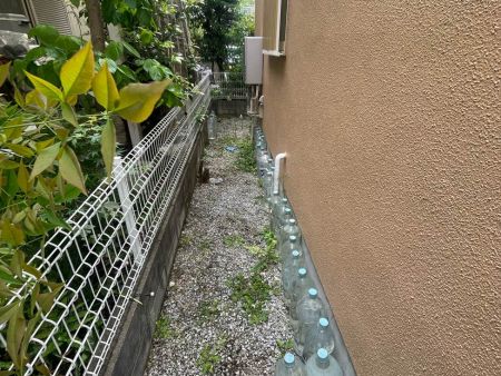 Before画像