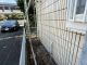 Before画像