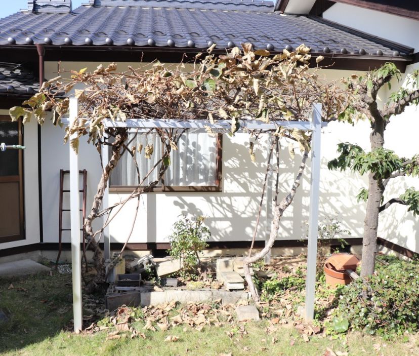 キウイ棚建て替え　豊作になっても安心！ 写真